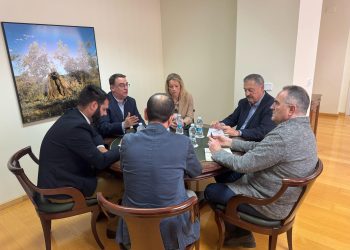 La FVMP se reúne con la Vicepresidencia Segunda de la Generalitat Valenciana para coordinar esfuerzos en la reconstrucción