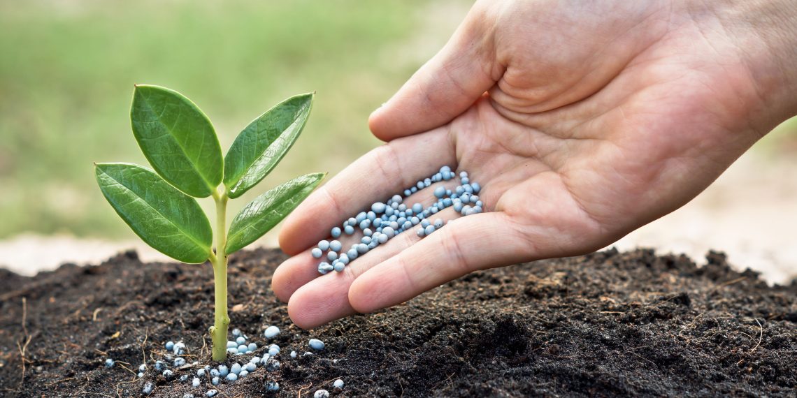 El alza de los fertilizantes y los aranceles de la UE ponen en peligro al campo valenciano»