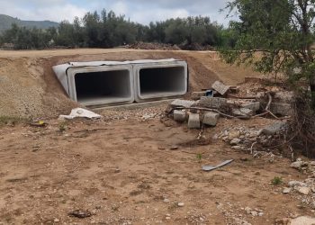 Más de 150 agricultores de Buñol reúnen firmas para limpiar el barranco del Poyo y evitar nuevas inundaciones en su huerta