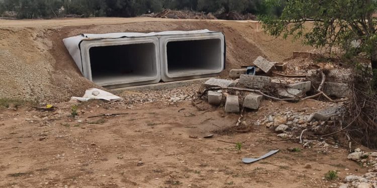 Más de 150 agricultores de Buñol reúnen firmas para limpiar el barranco del Poyo y evitar nuevas inundaciones en su huerta