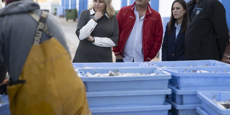 La Diputación de Castellón insta al Gobierno de España que atienda su petición de exigir a la Unión Europea el aumento de los días de pesca, clave para asegurar la viabilidad del sector