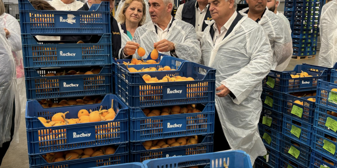 Agricultura invertirá más de 50 millones para modernizar el regadío en Callosa d’en Sarrià