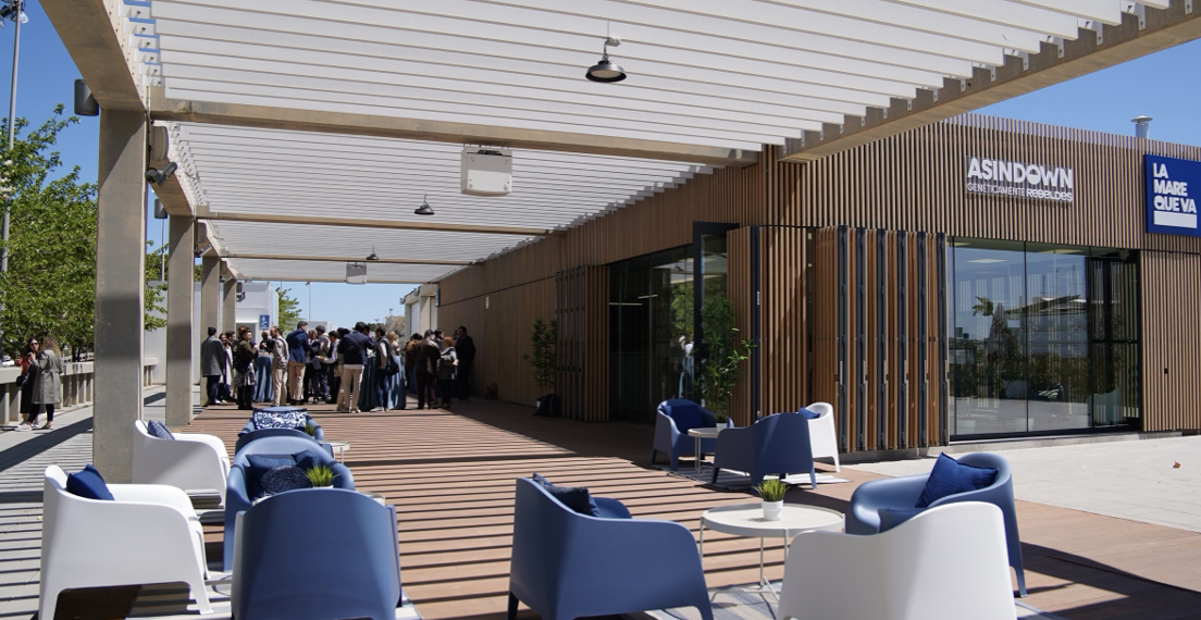 Valencia amplía el proyecto de inclusión sociolaboral de Asindown en La Marina