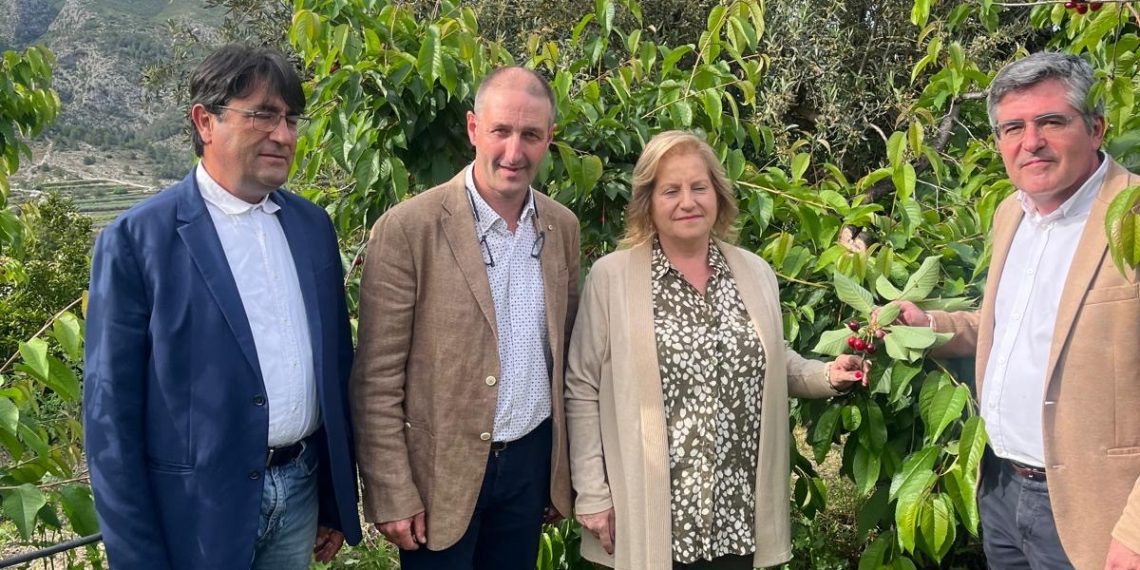 Carlos Pastor participa en el acto de Corte de la Cereza 2025