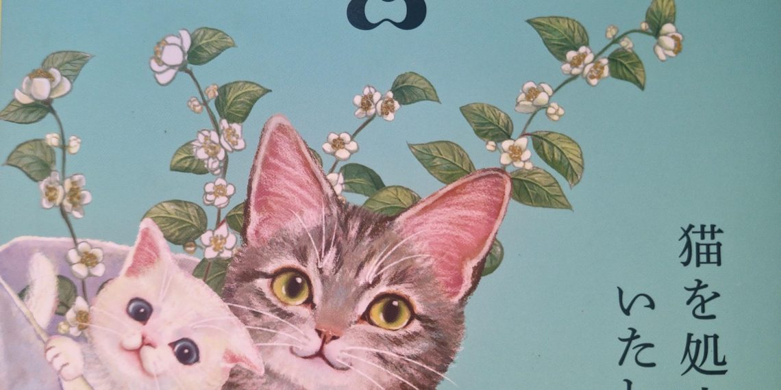El poder curativo de los gatos
