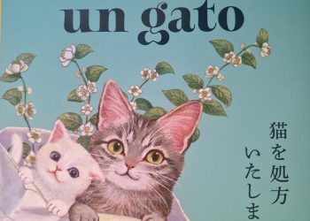 El poder curativo de los gatos