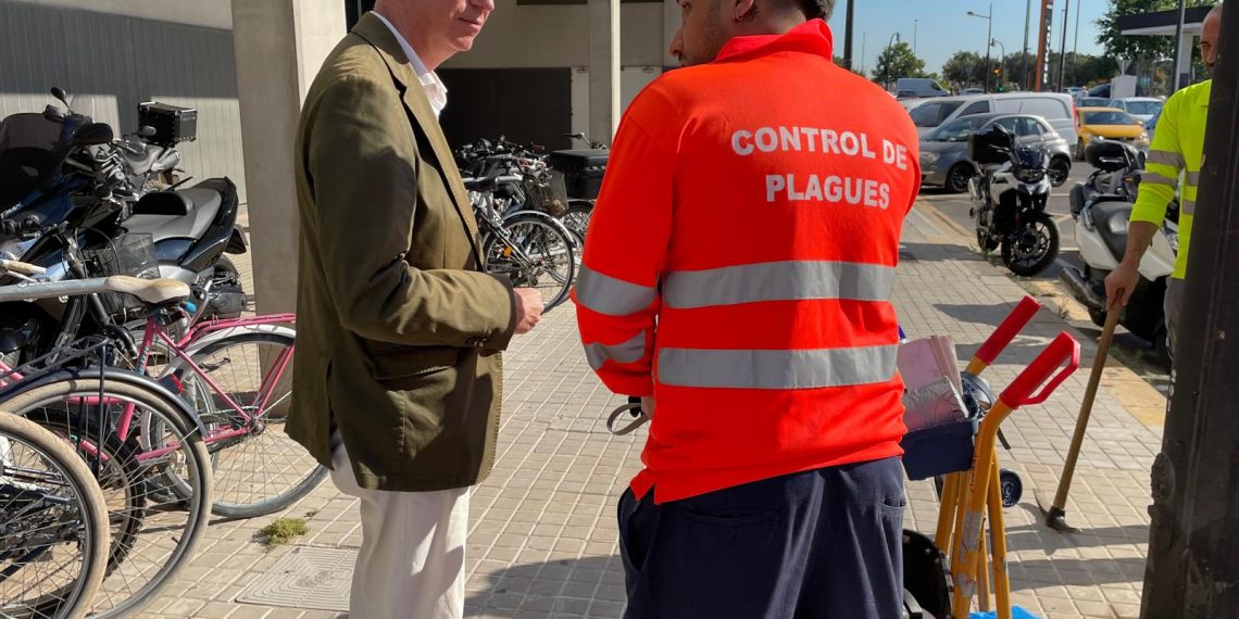 Los servicios municipales de Valencia trabajan en coordinación para minimizar las molestias de los insectos