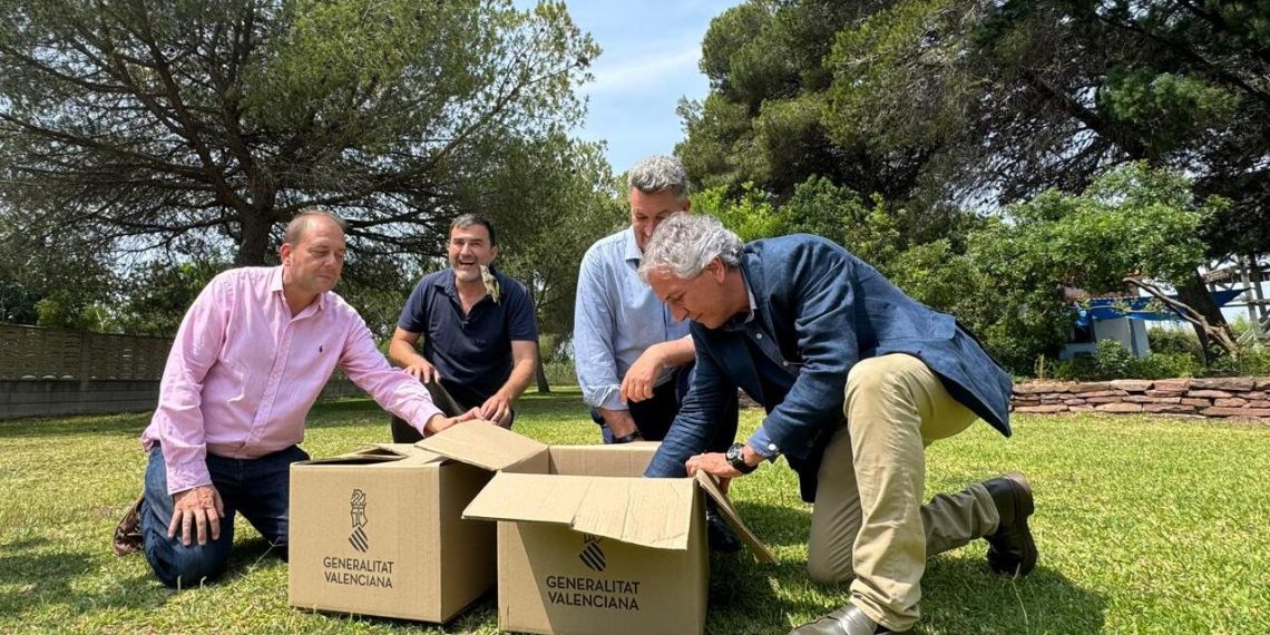 La Generalitat libera cerca de 100 jilgueros incautados del tráfico ilegal en el Día Mundial del Medio Ambiente