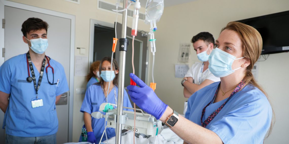La Fe, el hospital español con más trasplantes de médula ósea en adultos en 2024