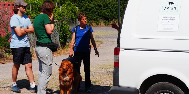 Medio Ambiente colabora en el adiestramiento de perros rastreadores para detectar la presencia de especies invasoras de galápagos