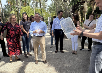 Agricultura intensifica la lucha contra el mosquito tigre mediante la técnica del insecto estéril que ha logrado reducir su presencia un 80 %