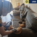 La Policía Local rescata ocho gatos que vivían en condiciones de insalubridad en un piso del barrio de Sant Isidre
