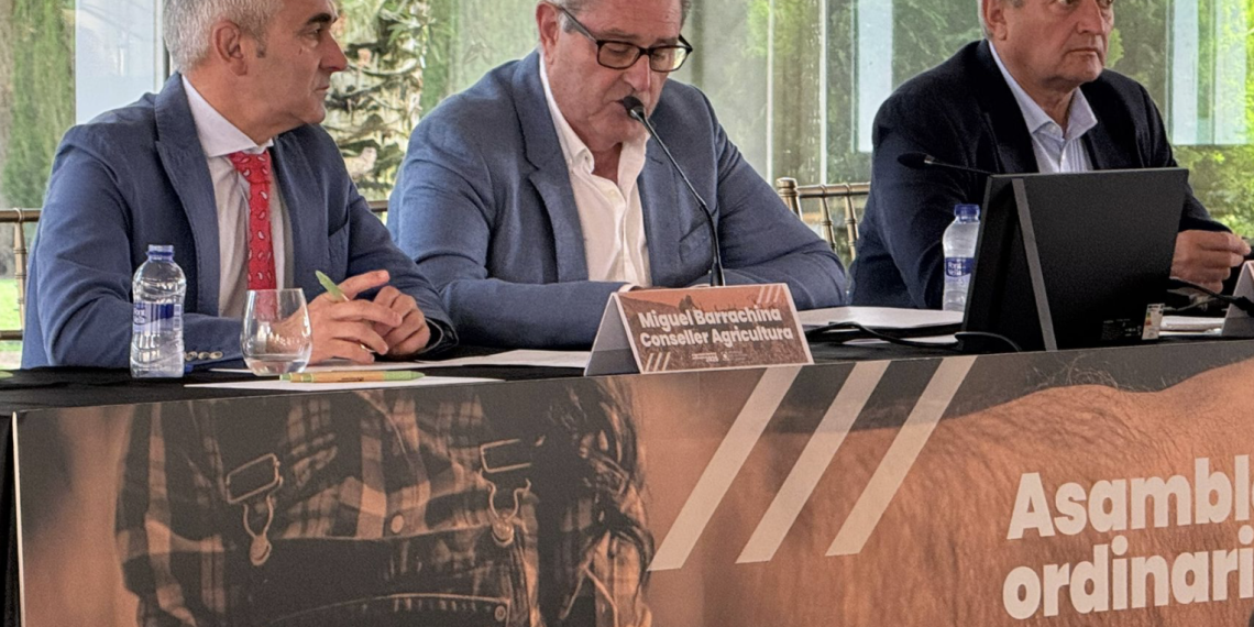 Agricultura refuerza su apuesta por el cooperativismo agroalimentario valenciano con más de 3,3 millones de euros en ayudas