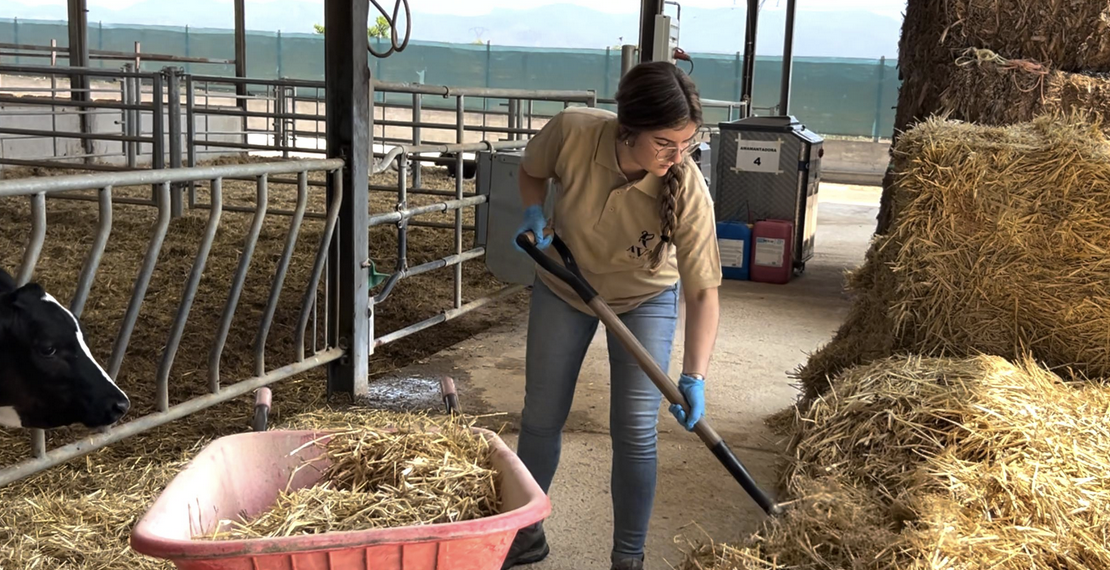 AVA-ASAJA asesora sobre las nuevas ayudas a jóvenes y nuevos agricultores de hasta 56 años