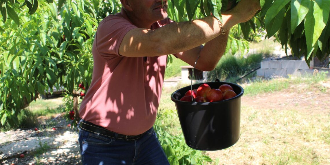LA UNIÓ denuncia que el precio de la fruta de verano se cuadriplica del campo a los lineales de la distribución