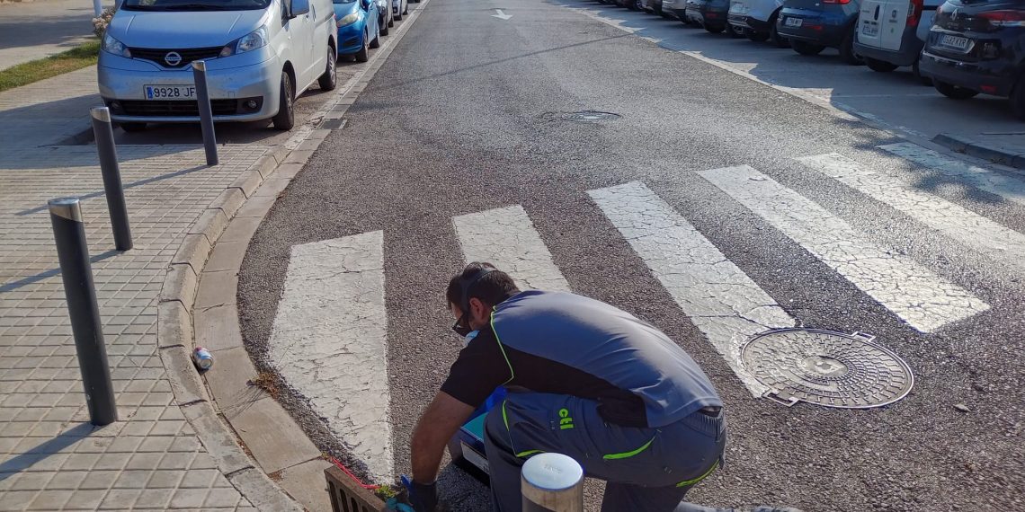 L’Eliana activa la campaña anual contra el mosquito tigre con más de 18.000 euros de inversión