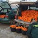 LA UNIÓ denuncia que solo uno de cada cuatro robos que se producen en el campo valenciano son esclarecidos