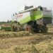 LA UNIÓ propone una moción a los Ayuntamientos de zonas arroceras para que insten a la obligación de etiquetado del origen del arroz