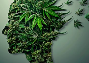 Umivale Activa y Proyecto Hombre lanzan una campaña audiovisual para desmontar mitos sobre el cannabis