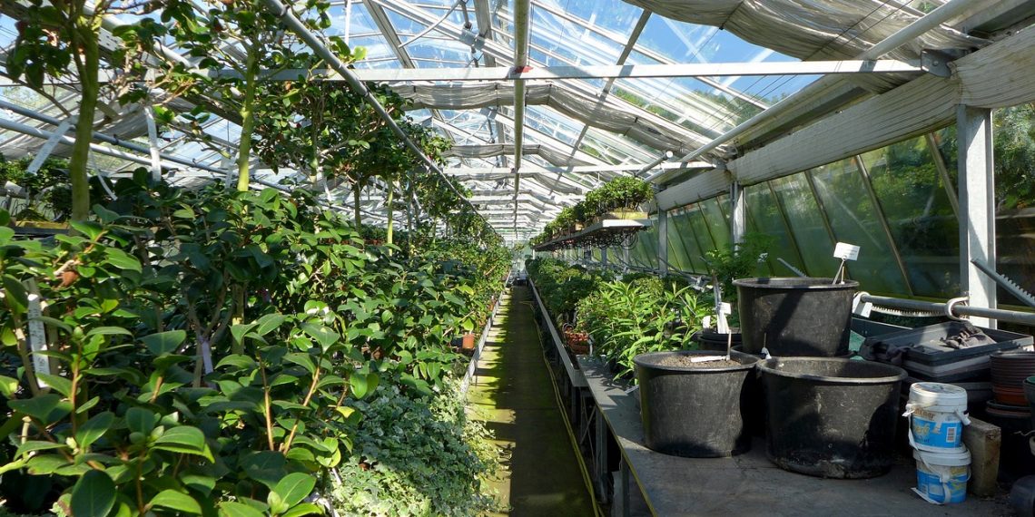 Barrachina reclama ayudas europeas para el viverismo y anuncia un récord de 29 millones para jóvenes agricultores