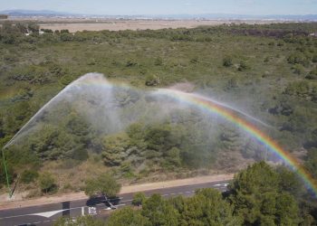 Valencia refuerza la vigilancia en la Devesa ante riesgo extremo de incendios y viento de poniente