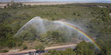 Valencia refuerza la vigilancia en la Devesa ante riesgo extremo de incendios y viento de poniente