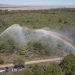 Valencia refuerza la vigilancia en la Devesa ante riesgo extremo de incendios y viento de poniente
