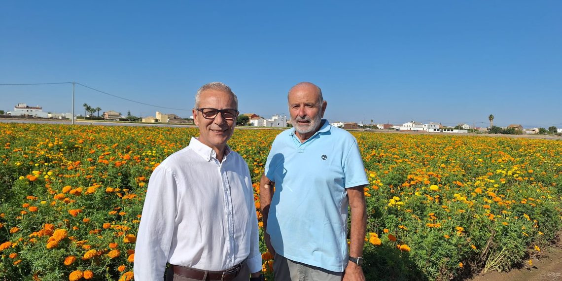 Más de 15.600 personas han participado en el sorteo de los palcos para la Batalla de Flores del próximo domingo