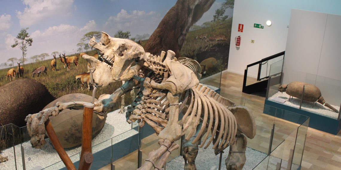 El Museo Paleontològico de Valencia recibe ya a sus primeros visitantes