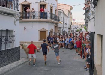 À Punt y la FVMP impulsan ‘Terra de festes’
