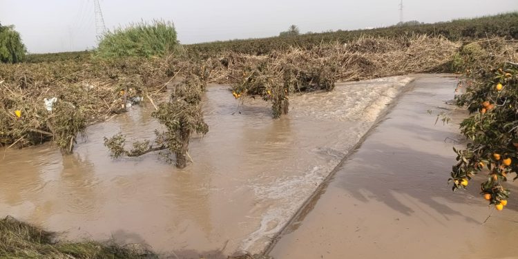 LA UNIÓ pide al MITECO una compensación justa para los agricultores afectados tras la dana por el cambio de sus parcelas a Dominio Público Hidráulico