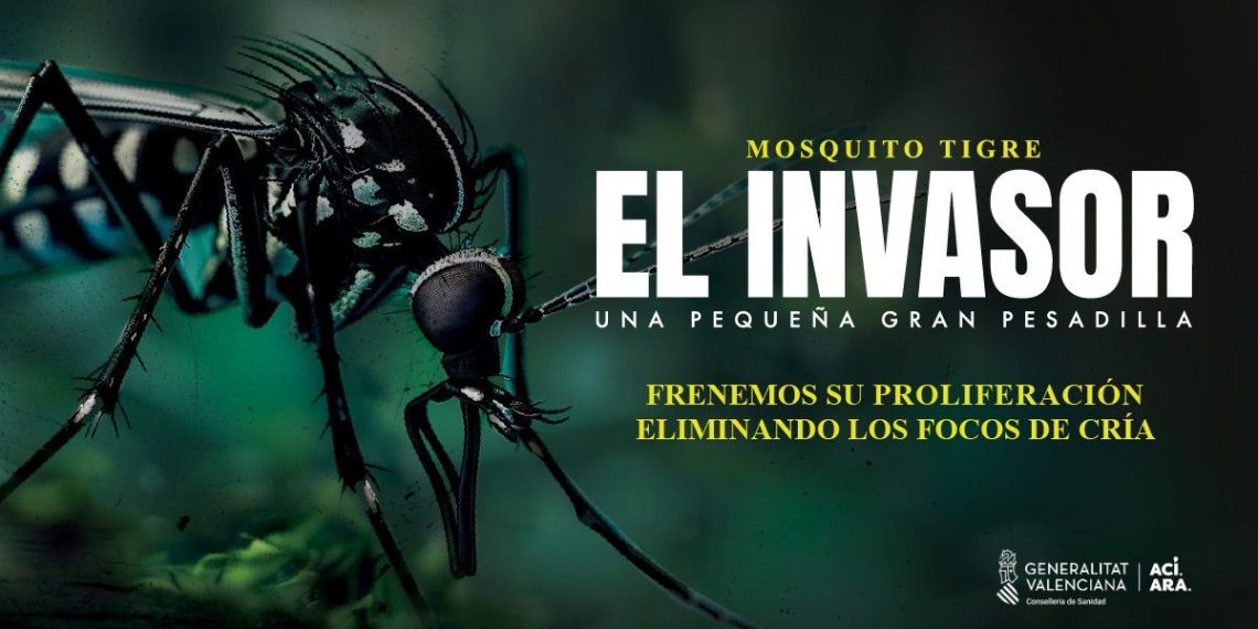 Sanidad lanza la campaña ‘Mosquito tigre: El invasor’ para concienciar sobre su prevención en hogares