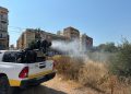 La Pobla de Farnals intensifica la lucha contra mosquitos y roedores en zonas sensibles