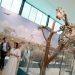 El Museo Paleontológico reabre con tecnología inmersiva e itinerarios interactivos