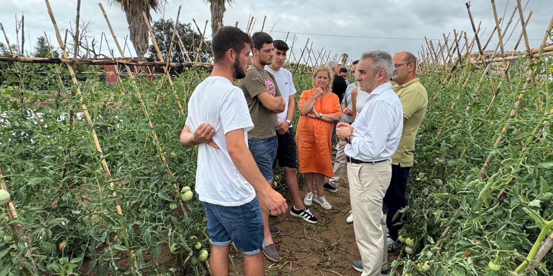 La Conselleria de Agricultura destina 29 millones en ayudas para jóvenes y nuevas incorporaciones al sector agrario