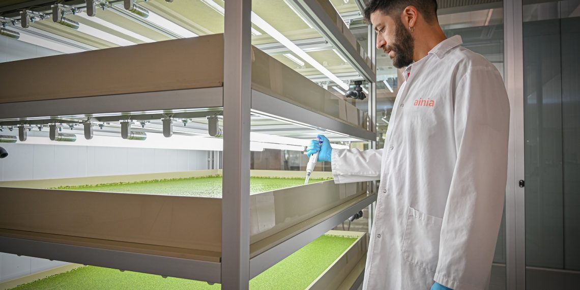 AINIA genera un impacto social de 464 millones de euros y reduce un 12 % su huella de carbono en 2024