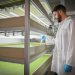AINIA genera un impacto social de 464 millones de euros y reduce un 12 % su huella de carbono en 2024