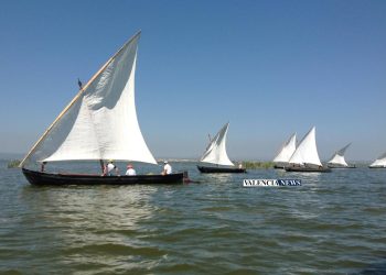 Exhibición de vela latina, una de las tradiciones candidatas a Patrimonio de la Humanidad.