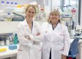 Avanzan en el conocimiento de procesos enzimáticos vinculados a enfermedades degenerativas de la retina