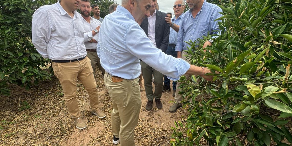 Los agricultores afectados por el pedrisco recibirán 20 millones de euros del seguro agrario