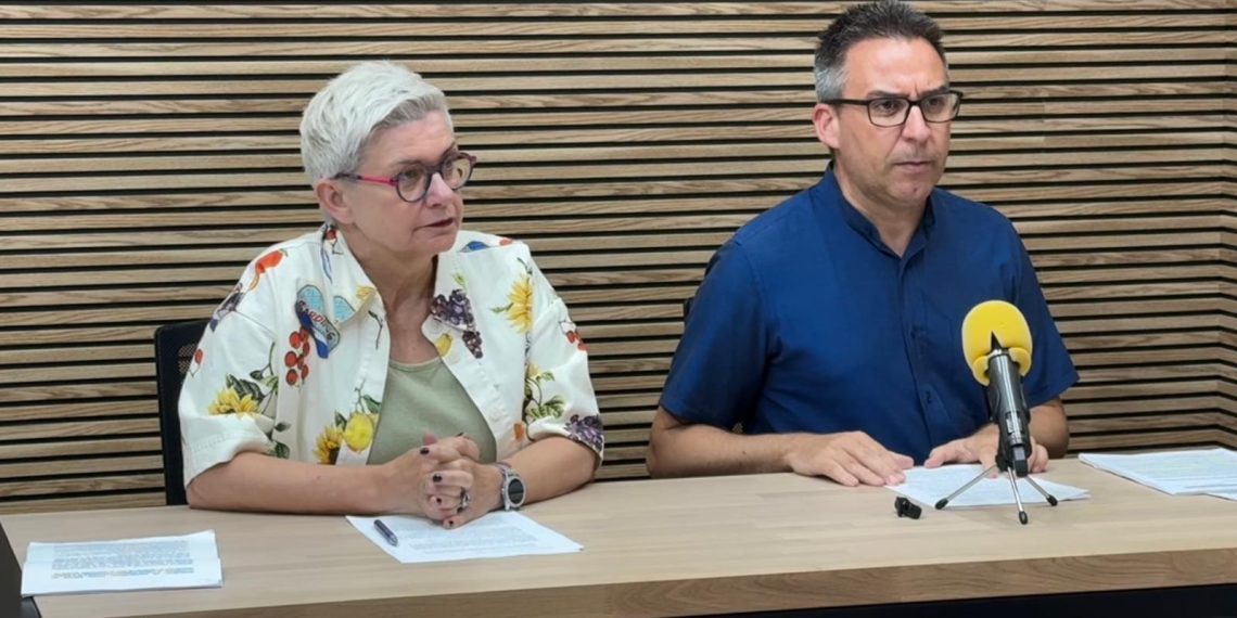 Sueca reconoce una situación económica crítica y prepara un plan para corregir el desequilibrio