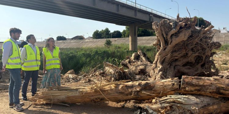 Valencia inicia la limpieza de los puentes del nuevo cauce del Túria ante posibles lluvias torrenciales