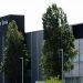 El Hospital de Dénia incorpora una nueva técnica para el tratamiento del tromboembolismo pulmonar