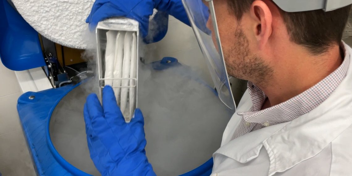 El Hospital La Fe incorpora un nuevo tratamiento con células CAR-T para pacientes con mieloma múltiple