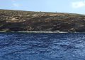 La Generalitat invierte más de 400.000 euros en 2025 para conservar la Reserva Natural de las Islas Columbretes