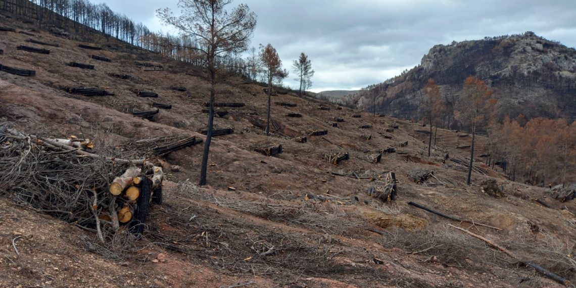 Actuaciones incendios forestales