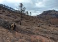 Actuaciones incendios forestales