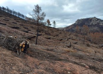 Actuaciones incendios forestales