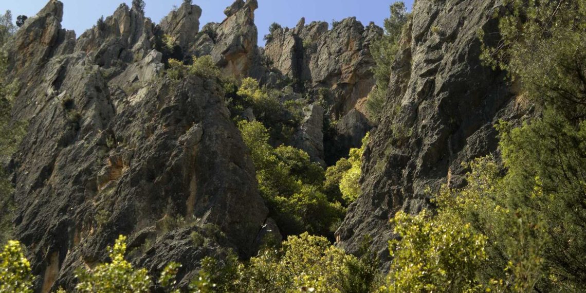 Las brigadas forestales reparan los daños de las inundaciones en Hoces del Cabriel y Chera-Sot de Chera