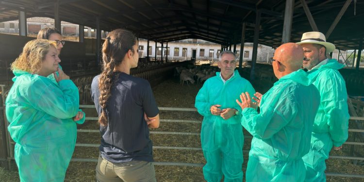 La Generalitat impulsa la modernización de 300 explotaciones ganaderas